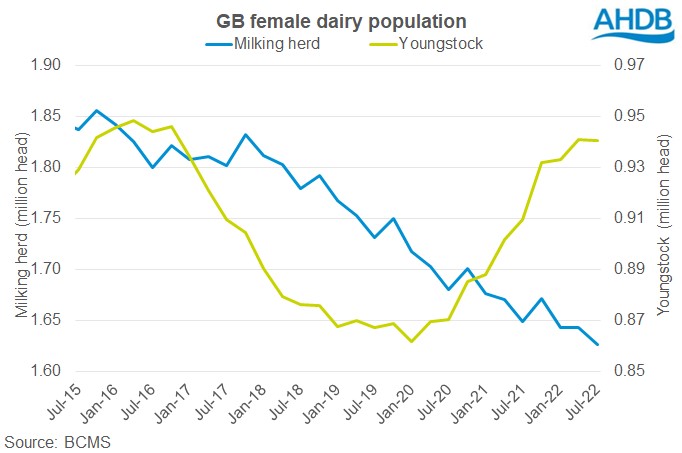 Graph of GB female dairy population July 2015-2022